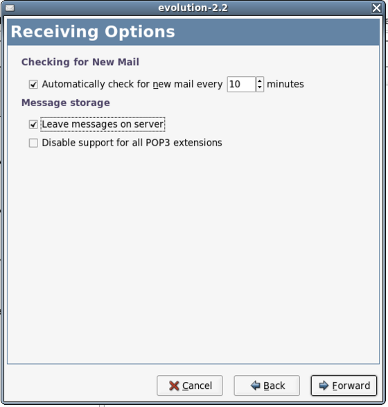 Evolution GMail Receiving Options